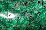 Flowery Polished Malachite Specimen - DR Congo #360807-1